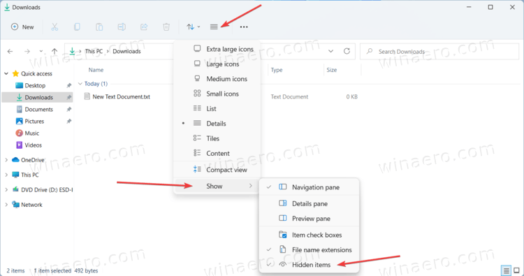 Show hidden files and folders